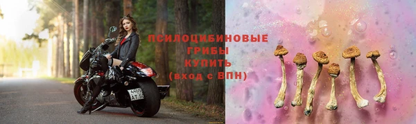 прущие крисы Верея
