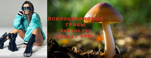 прущие крисы Верея
