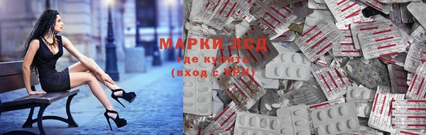 прущие крисы Верея