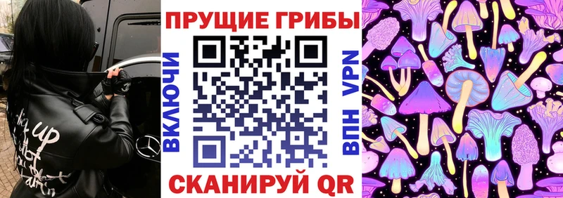 mega   цены наркотик  Петропавловск-Камчатский  Галлюциногенные грибы ЛСД 